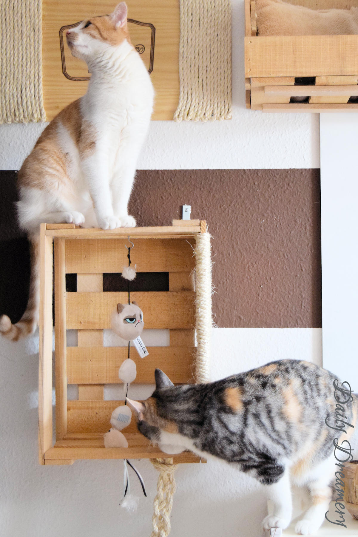 DIY-Kletterwand für Katzen ganz einfach aus alten Weinkisten bauen - perfekt für Wohnungskatzen #diy #katzen #katzenmöbel