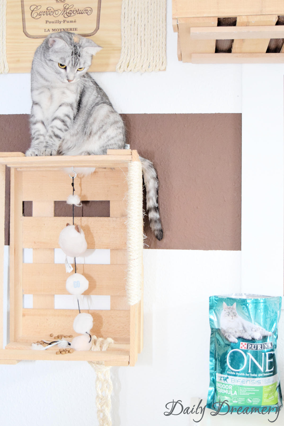 DIY-Kletterwand für Katzen ganz einfach aus alten Weinkisten bauen - perfekt für Wohnungskatzen #diy #katzen #katzenmöbel